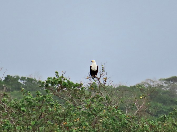 2EDBF1EC-B5A2-4DFC-AEC5-8228325A1CC8