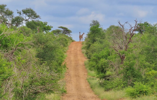 42757E8F-3016-412E-9791-2DEB465522D3