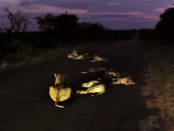 45B06F28-B3EA-40B7-8B29-D51A77B2B00E