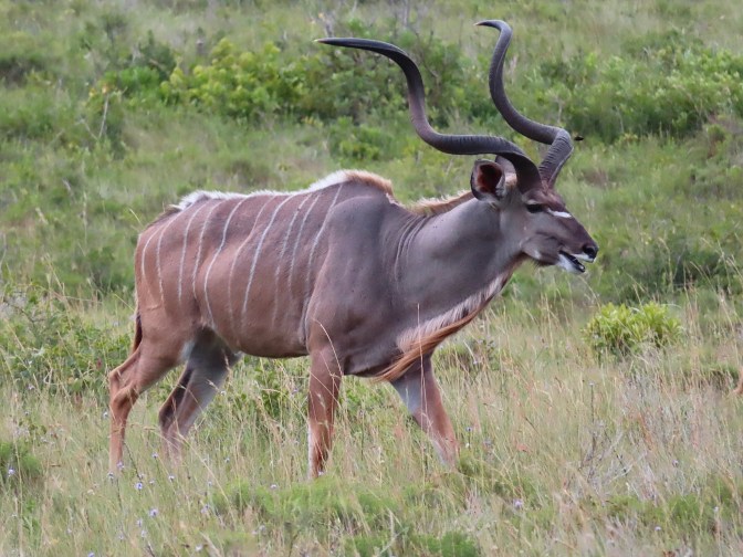 58082977-ADA1-496B-A91D-C5CAAD0C8FC0