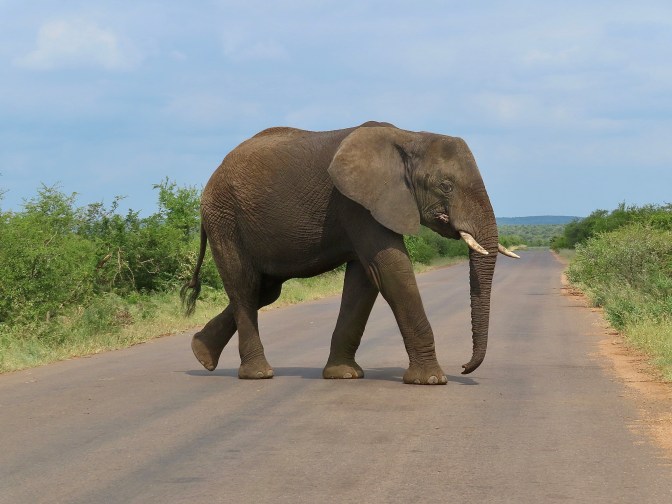 832B6A2A-F4F3-4EC3-B2D3-FE9B32660D55