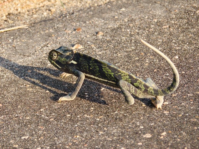 91B2CE79-30F4-49EF-A2DC-1D4AF8D3AFBE