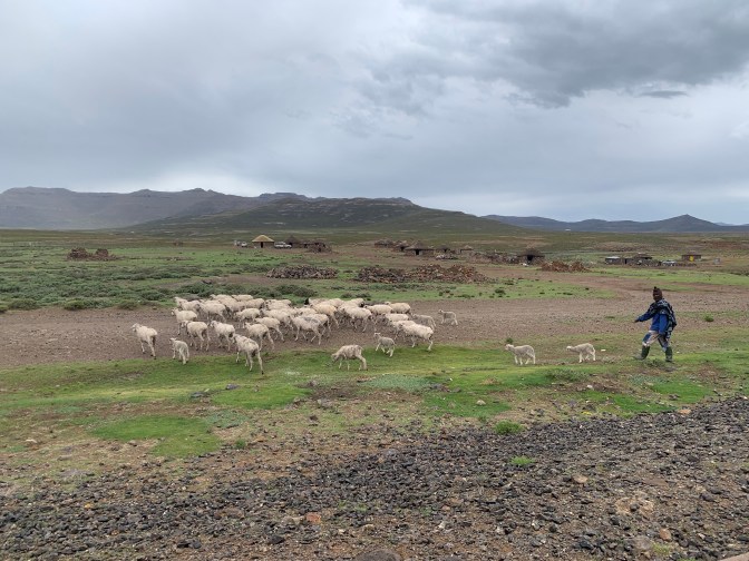 96F0B9EE-81E9-4497-89FE-DBC8A9A2F3AF