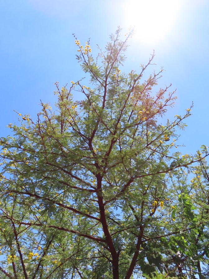 9B2C2EAF-32C5-4083-8564-E68948648A80