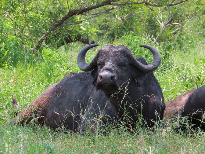 A294B109-1E6E-4935-8A71-5CD812ED2D9B