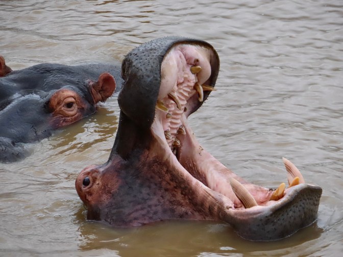 B1704F18-3BC4-4951-A5B8-4EAB250199CA