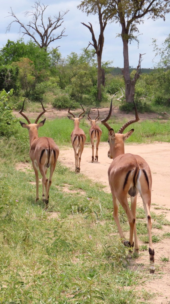 C9DADEA7-11E9-40C9-9CDB-6FE515EBBD6C