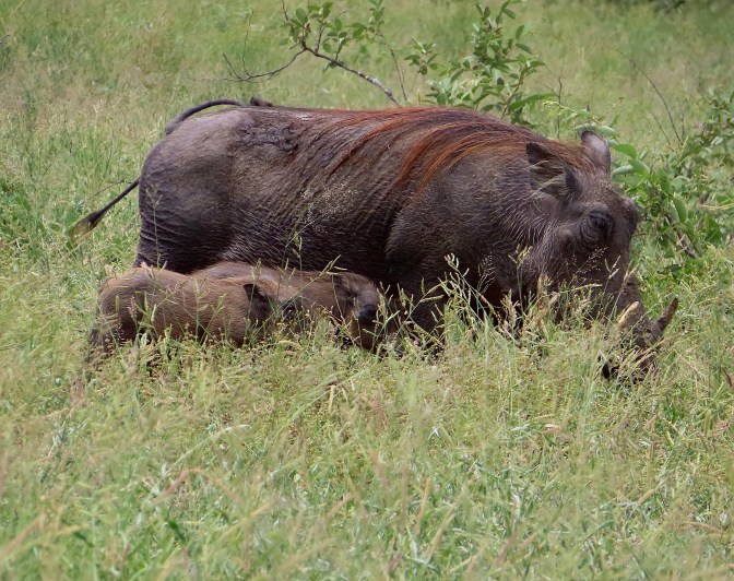 CA7DD524-BD1C-4CFD-BE86-2DB7718514AB