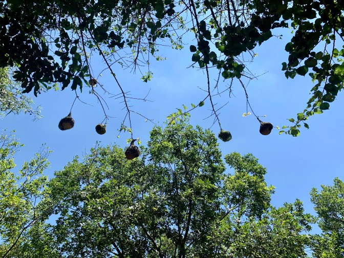 CAB2490A-77B3-49D7-A5E9-2BD5E6906BB5