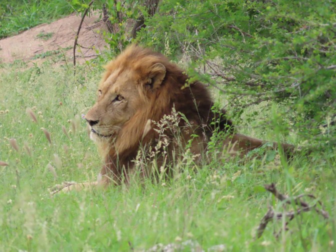 CEFA073B-A512-4259-A1F8-CFFA61BDBC26