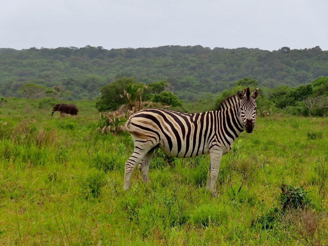 D60DEB42-735C-4458-8E1F-32B6D25FE60A