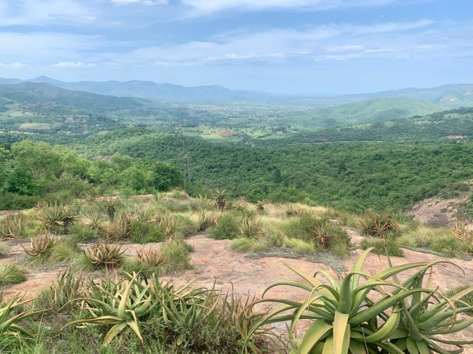 DDCFAFC4-1E3D-44A0-B200-434FF0FA5496