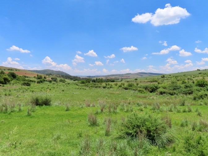 DFE3C5A4-1314-43C5-BED4-D95B95406892