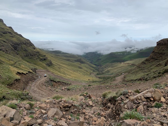 E91EA15A-DC79-4E22-8DF0-0B68E20C4142