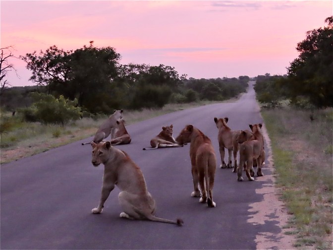 EBD6FCFC-235B-47B1-9B09-CFEE2603AD21