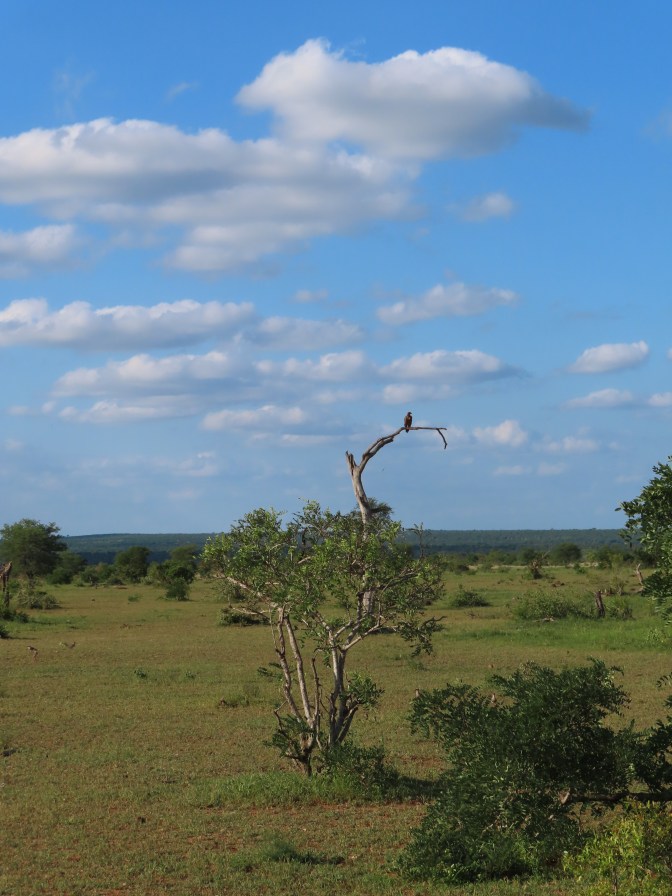 ECE4E4F6-EF74-43EA-8B50-8D0D15C27020