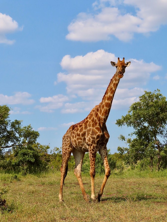 F60BA41D-7706-40E7-9B80-F99C4EB03430