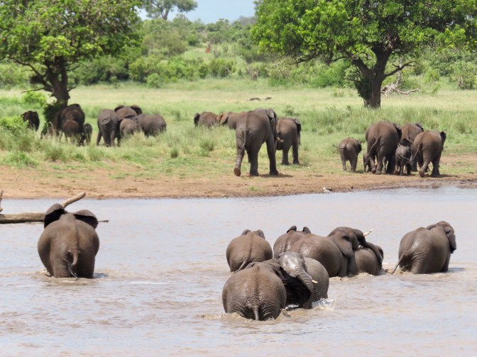 F81ADC1B-6D08-407B-A664-3BDF0CC6A499