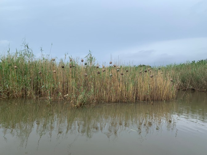 F94B7113-04F5-4154-AFEE-2D6E775F30C2