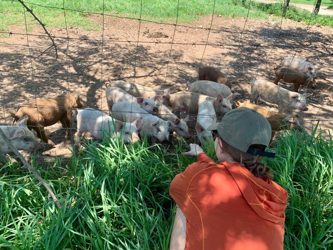 FAAD095B-B0E9-4388-84E5-5B1D7B67F8FC