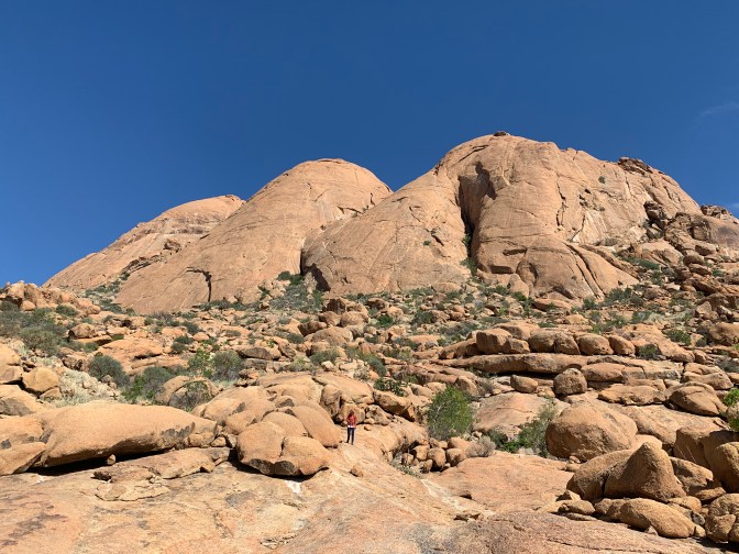 007678E7-B7EE-4747-BB9D-575246D29E89