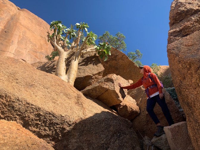 06261B08-4B80-4E4F-82F8-A84838A05076