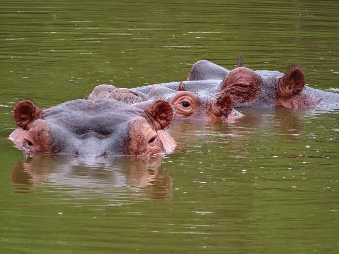 106DBB00-ECB8-4BD5-B97F-B443B65561F5