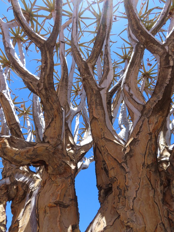 2A197067-52FA-4E47-97D5-ADBCA883CCE2