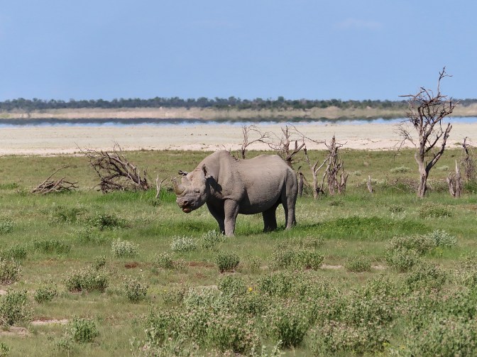 3286B25B-EF22-4C35-A631-21DF2BCD7BDE