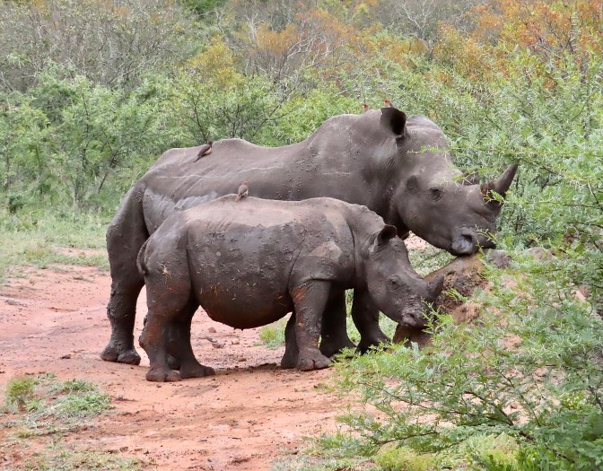 3B066A03-F5FD-4969-B609-0B48E8E4DF87