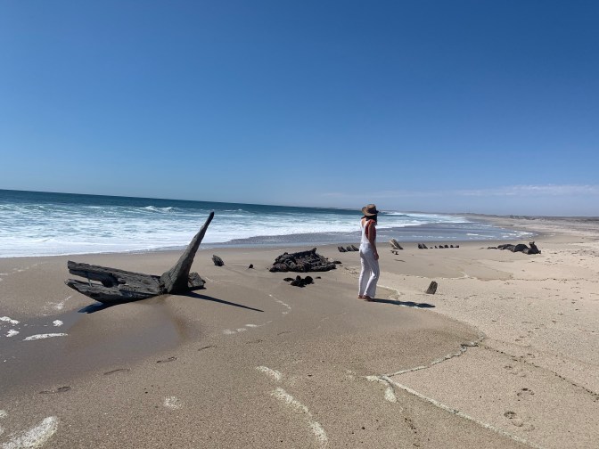 3CF85624-407F-4E6B-8C52-1A0365CABA14