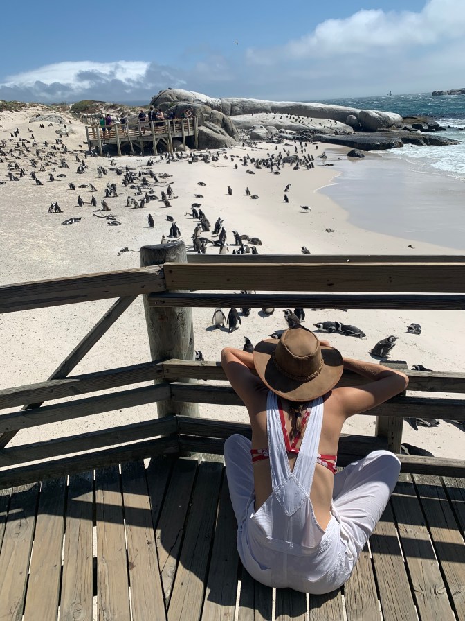 3E15EAD1-CE48-469A-B3D3-2A079872DE1E