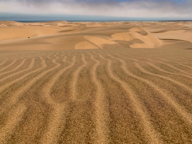 4BD7D529-0BA7-4758-8C3B-45FD189222C7