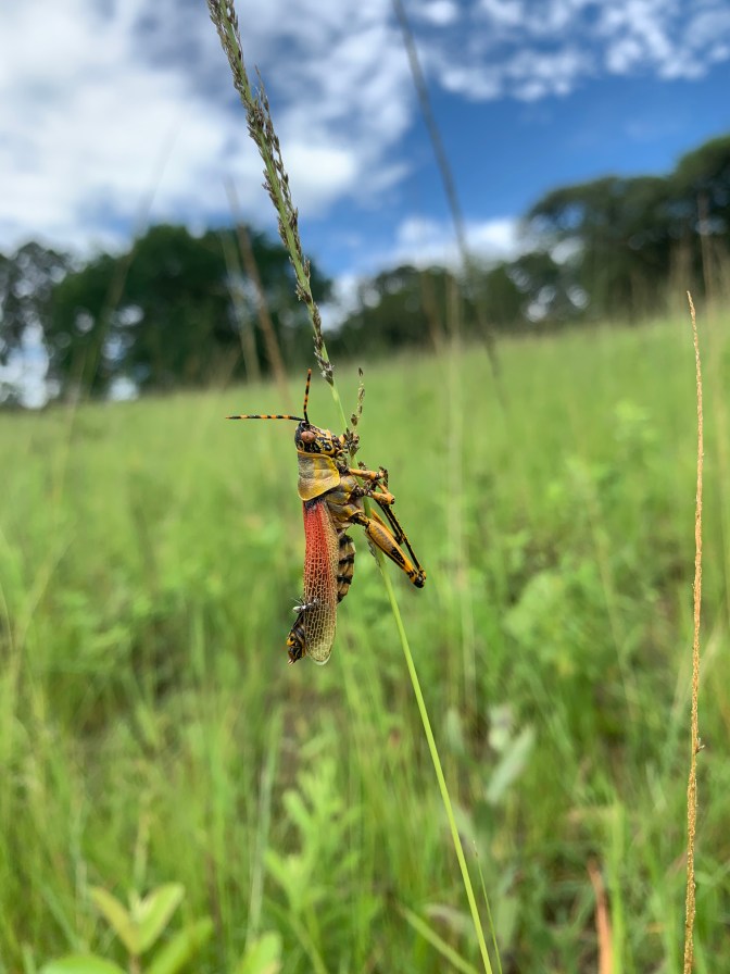 507A8048-AD9C-4479-8457-7B470AB837F6