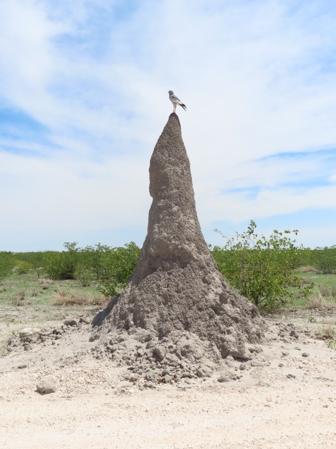 53DC65A9-BA44-463C-9ADD-151D77A4C282