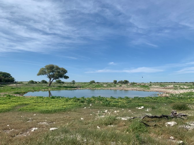 60CC4622-F510-4828-B32C-368EA50CC060