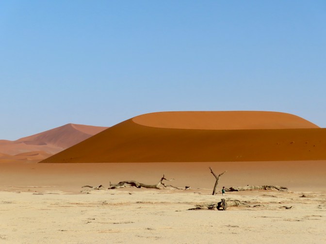 69381E2F-A427-43FD-AD1B-DB8B2928A60A