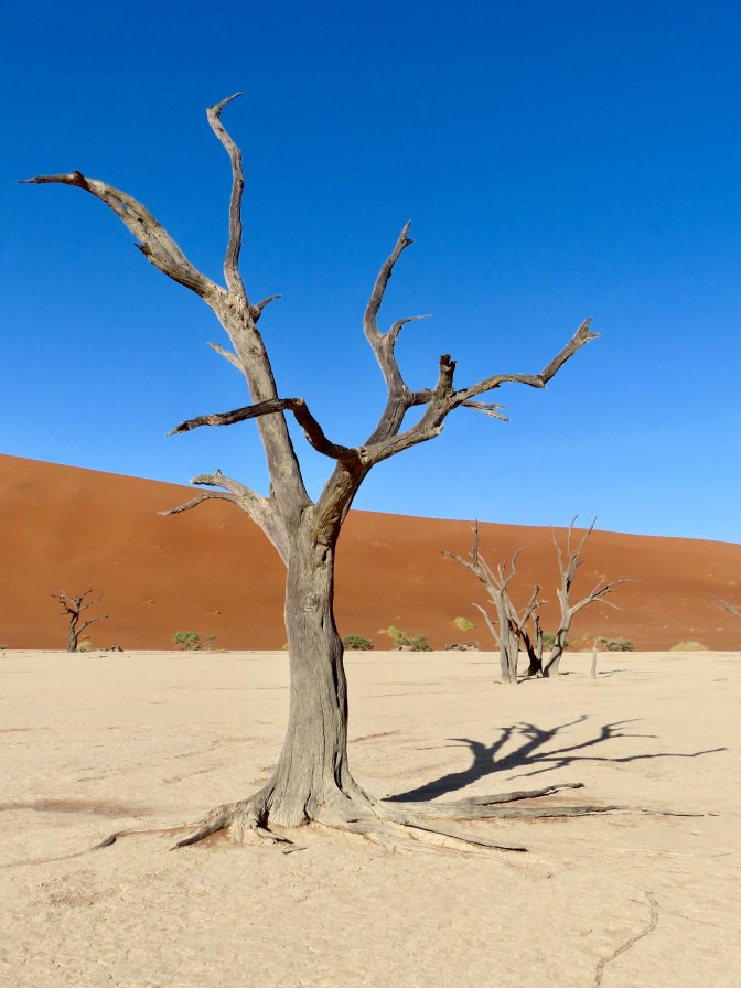 6E62B829-3CE3-4DF9-8390-24B4133BB249