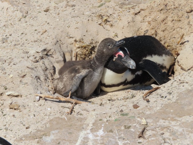 6F139D4E-1AC1-4911-9998-93477EA17D5C