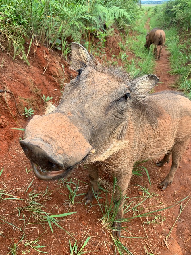 8705DA9A-BDF7-4EE4-9022-8C8B0670648B