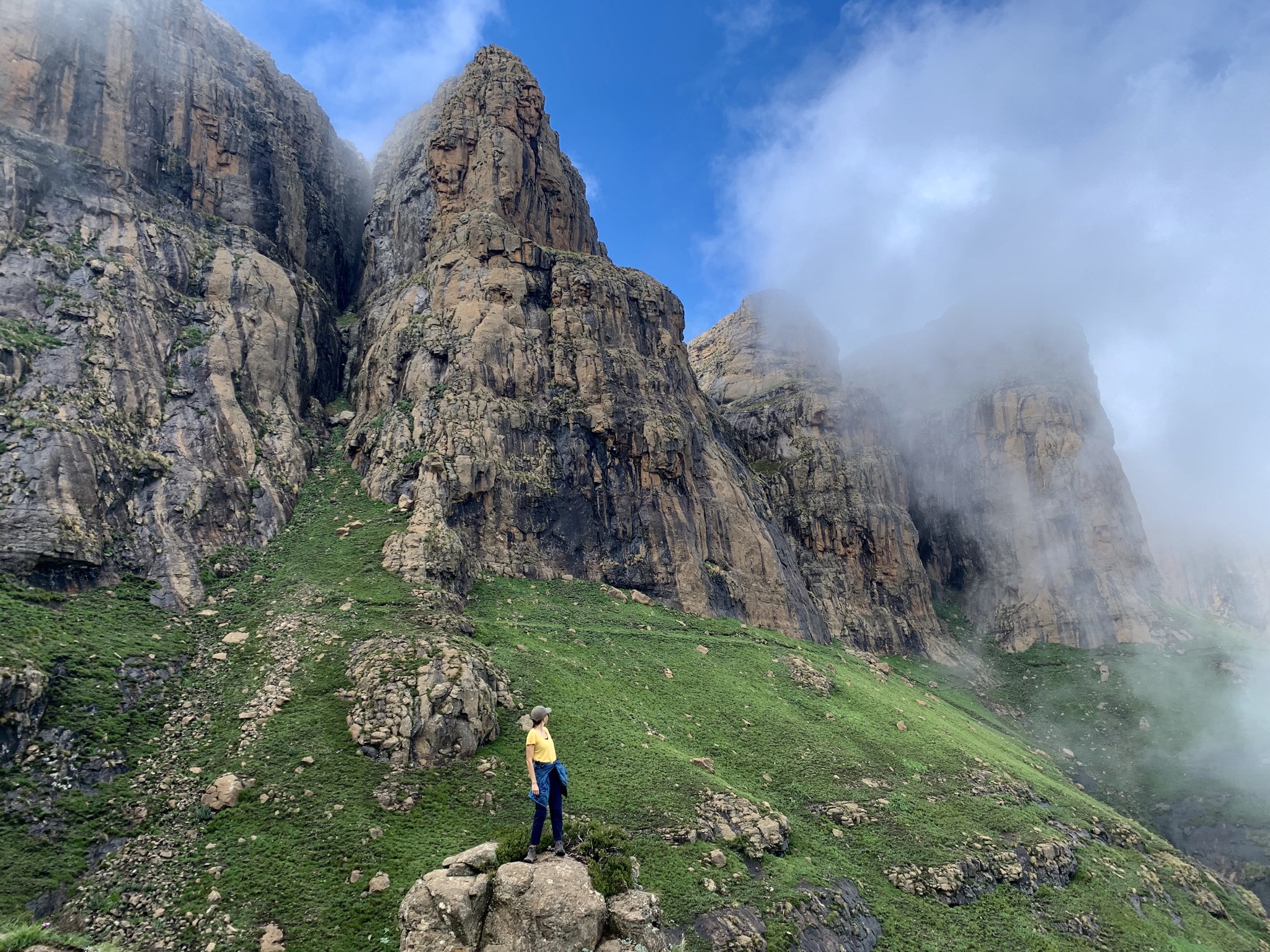 95924F35-7C1A-4389-8312-1D1E31705464