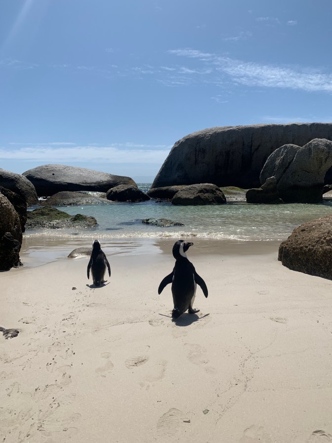 A0E0F1CE-F08A-4423-9E5D-2434D8472393