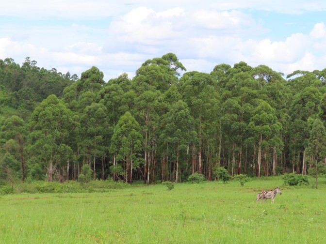 A67B1667-53EE-40BD-96C9-03F2968A7BC0