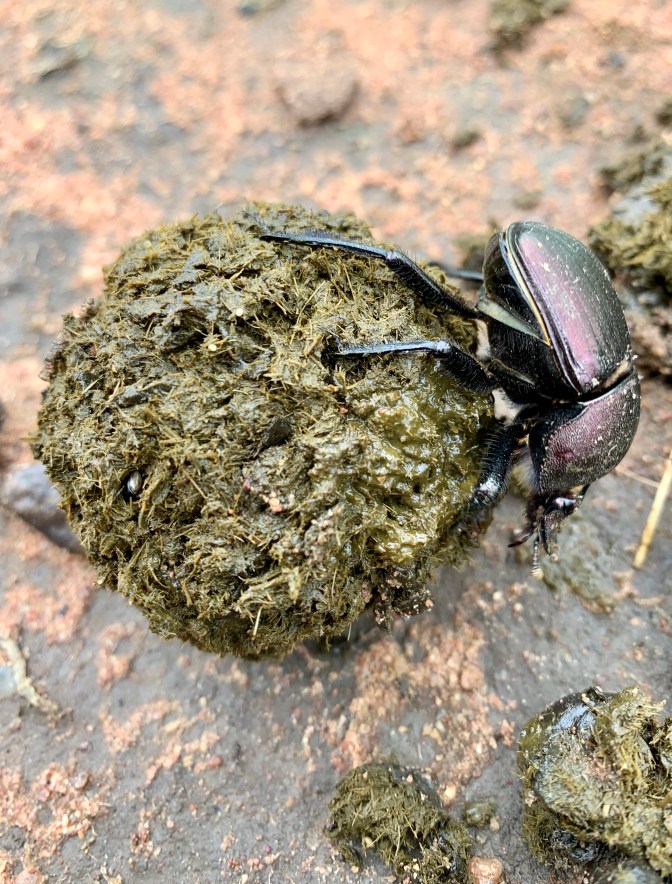 A9B47952-74AC-4493-8411-32113B1F94E0