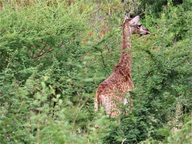 B067E6CC-C436-4C88-910F-A67AC3BCABA5