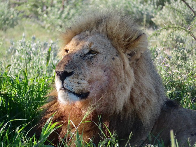 B942AD96-3B25-4D5F-A26A-6A279F617275