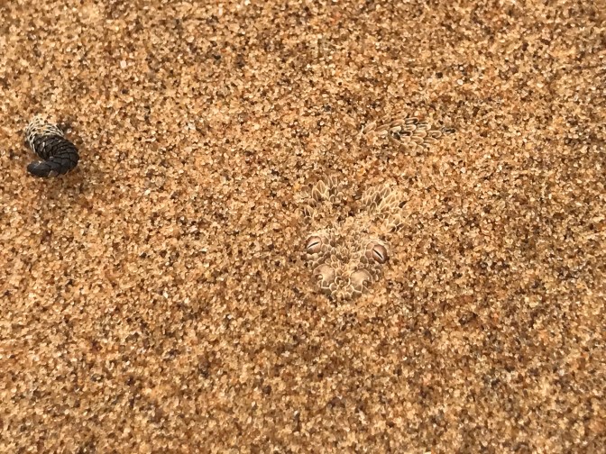 D58EDF70-ACE2-4D71-A0C5-A3946361DAC1