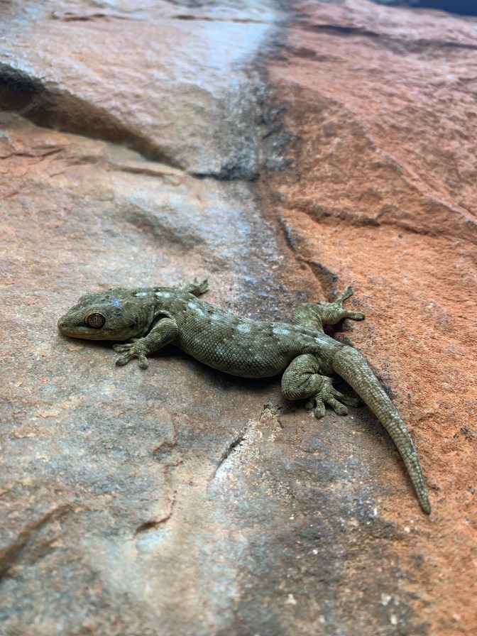 EF9B7617-FFBD-449A-A008-077009CDA794