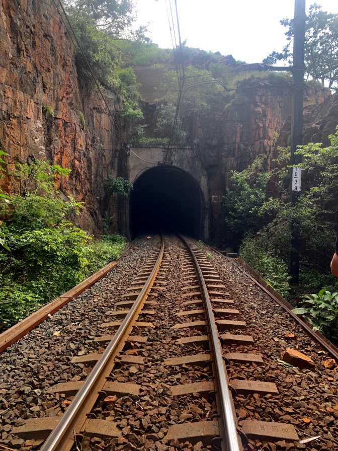 F5D12203-D408-47AB-AA42-8CF33DA0C453