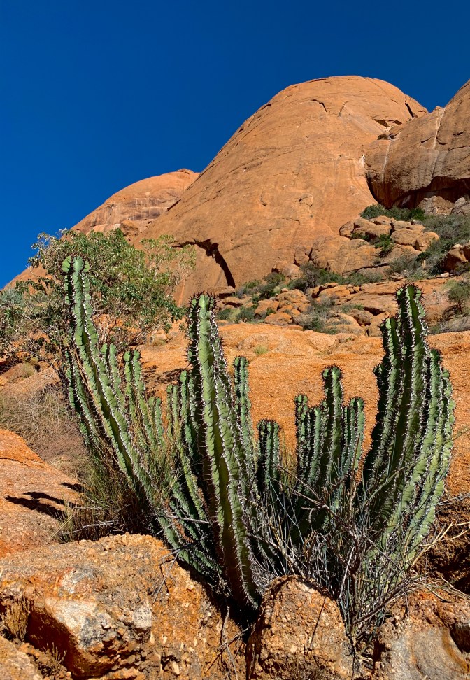 F92DEC08-1101-4E7D-A86C-466F5D41D418